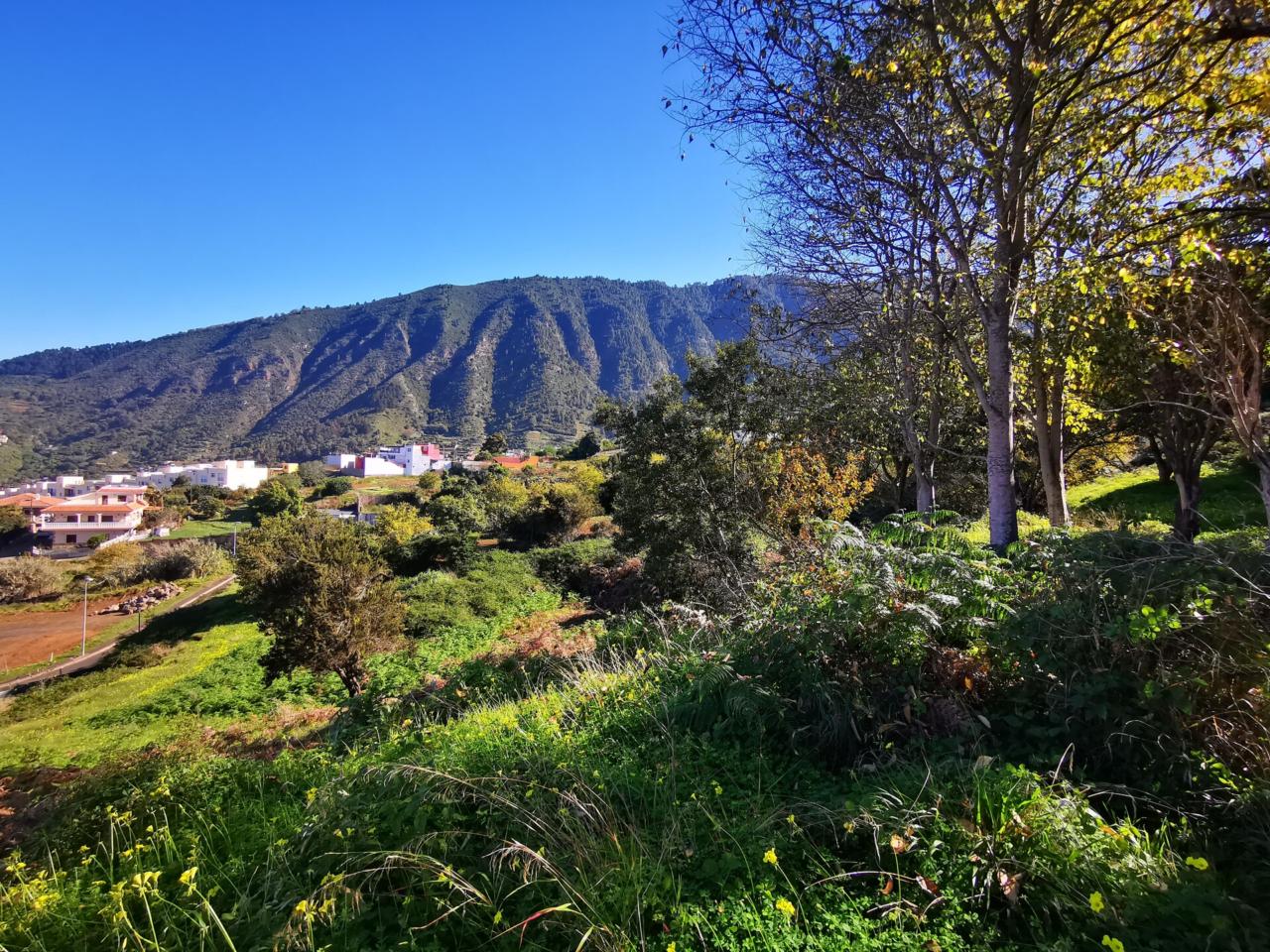 Paisaje verde de La Orotava, Tenerife